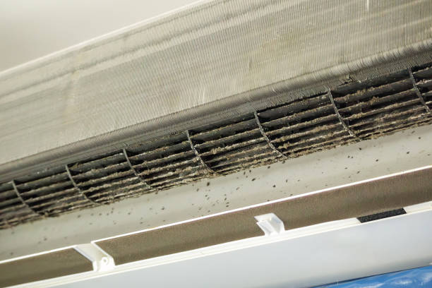Best HVAC Duct Inspection Services  in Garrison, ND